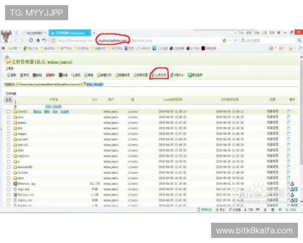 凯发最新网址最新版本更新内容及登录流程详尽介绍帮助玩家顺畅体验